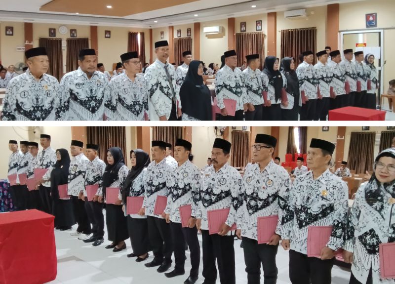 Bidang PGRI Maluku Barat Daya - Persatuan Guru Republik Indonesia Cabang Maluku Barat Daya